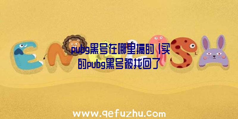 「pubg黑号在哪里搞的」|买的pubg黑号被找回了